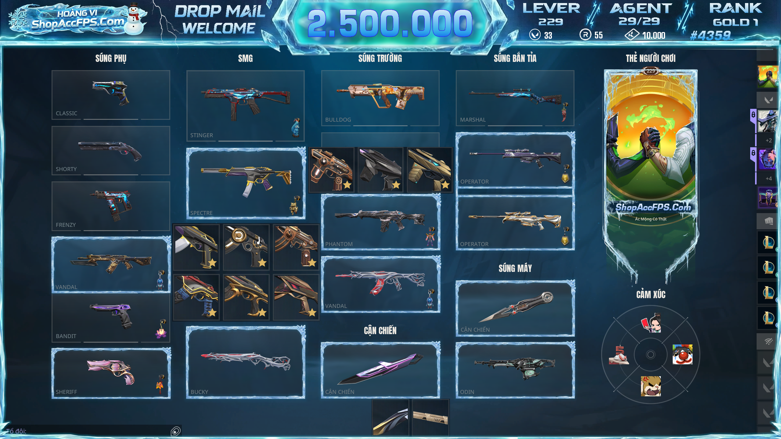 Acc Valorant mã số #4359