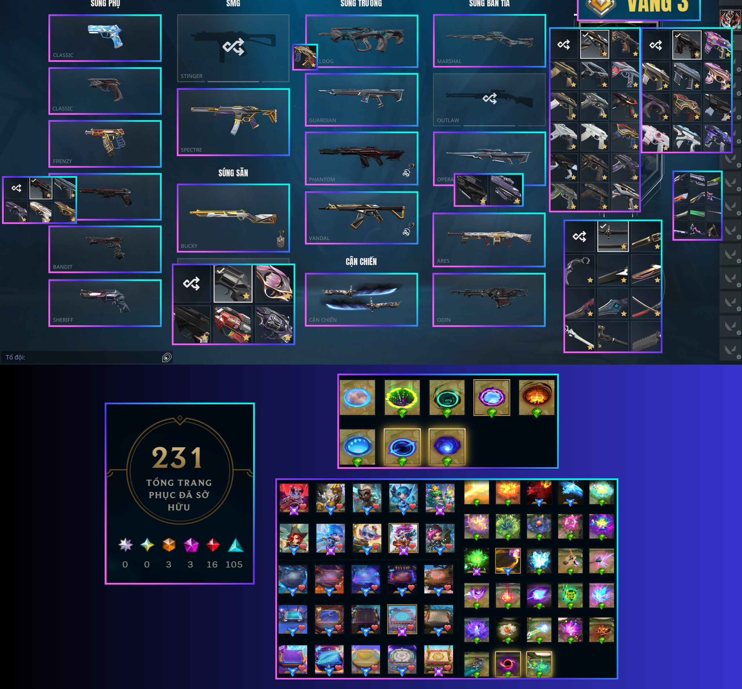 ACC VALORANT
